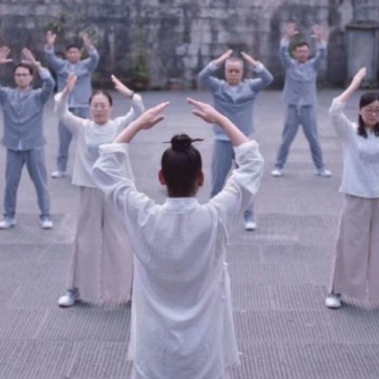 daojia-yang-sheng